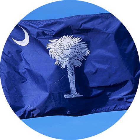 Nylon South Carolina State Flag Star Spangled Flags