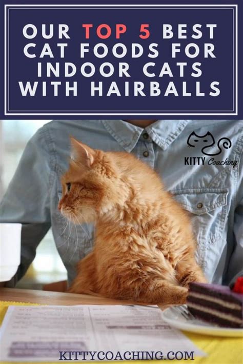 Product review on 6 best cat food for hairballs and vomiting. Our Top 5 Best Cat Foods for Indoor Cats with Hairballs (2018)
