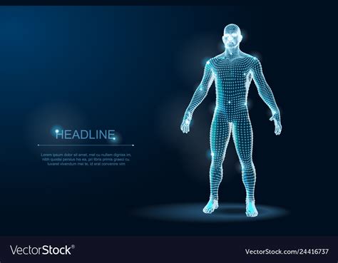 Human Body 3d Polygonal Wireframe Blueprint Vector Image