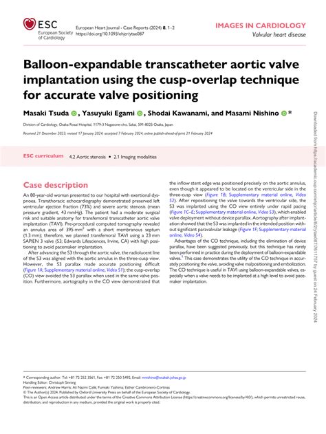 Pdf Balloon Expandable Transcatheter Aortic Valve Implantation Using