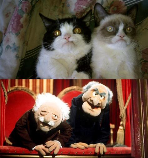 All I Could Think Of When Seeing These Grumpy Cats Imgur