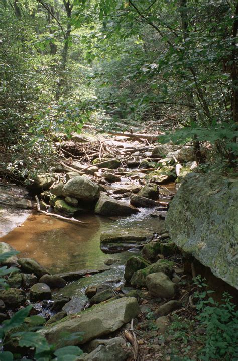 Free Picture Shallow Rocky Mountain Stream