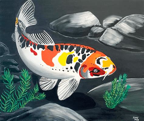 Koi Carp Fish Painting Part 1 Raafs Paintings