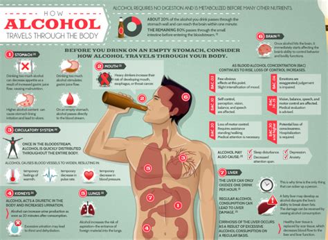 The Effects Of Alcohol On Your Body And Mind