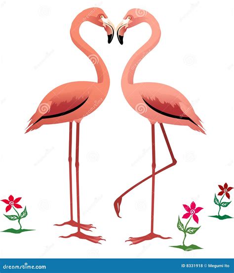 Flamingos Stock Vector Illustration Of Flamingo Life 8331918