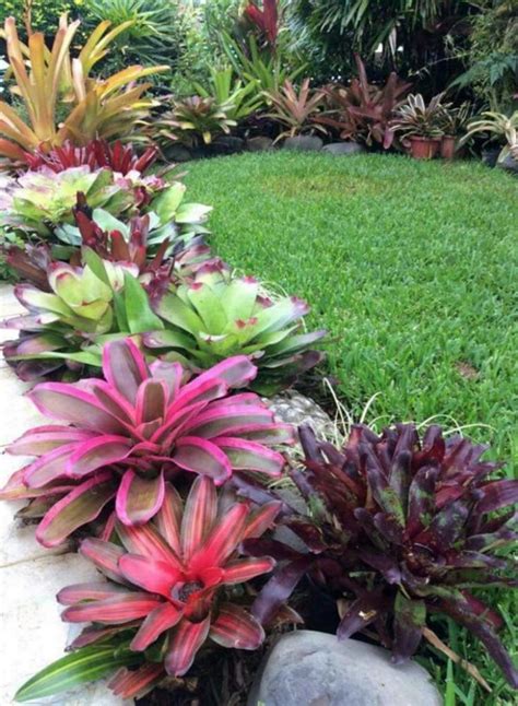 35 Amazing Tropical Landscaping Ideas To Make Beautiful Garden