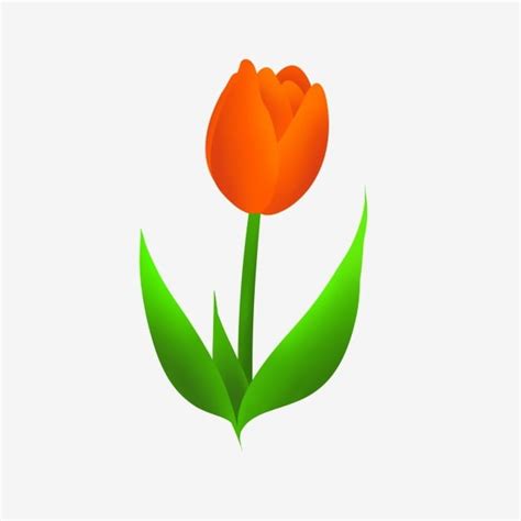 Tulips Spring Flowers Clipart Png Images Summer Flowers Tulip Cartoon