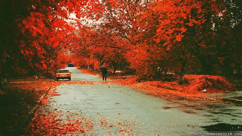 Beautiful Autumn Wallpapers 66 Background Pictures