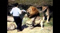 MAN GETS MAULED BY A LION MUST SEE! - YouTube