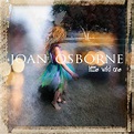Little Wild One - Joan Osborne mp3 buy, full tracklist