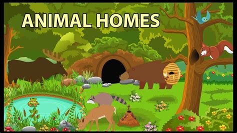 Animals In Need Of Homes