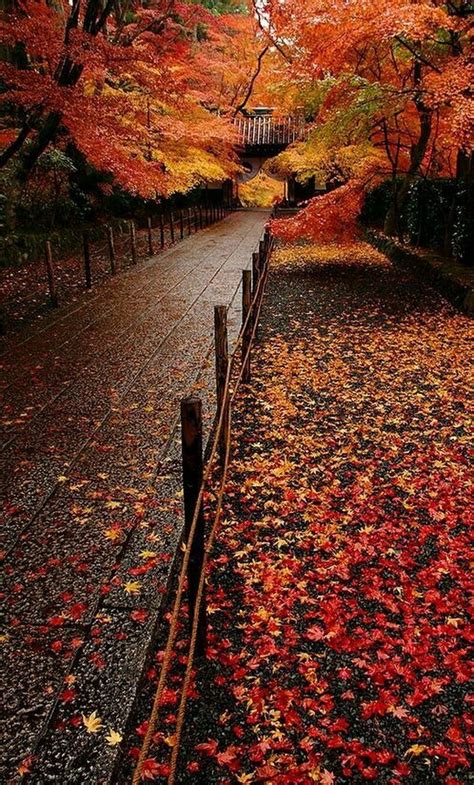 Pin By Alana Michaela On Imágenes Autumn Scenery Autumn Scenes Scenery