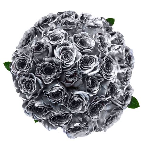 Free Delivery Premium Silver Silver Airbrushed Tinted Roses Flowers Near Me Magnaflor