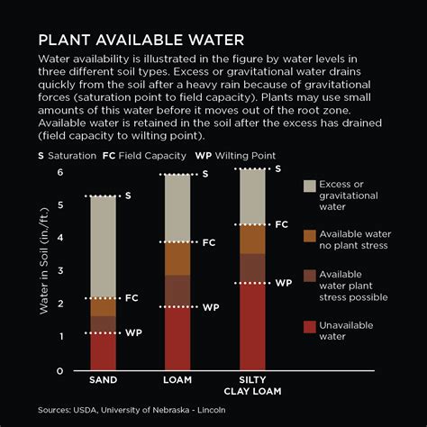 Soil And Water Relationships Noble Research Institute