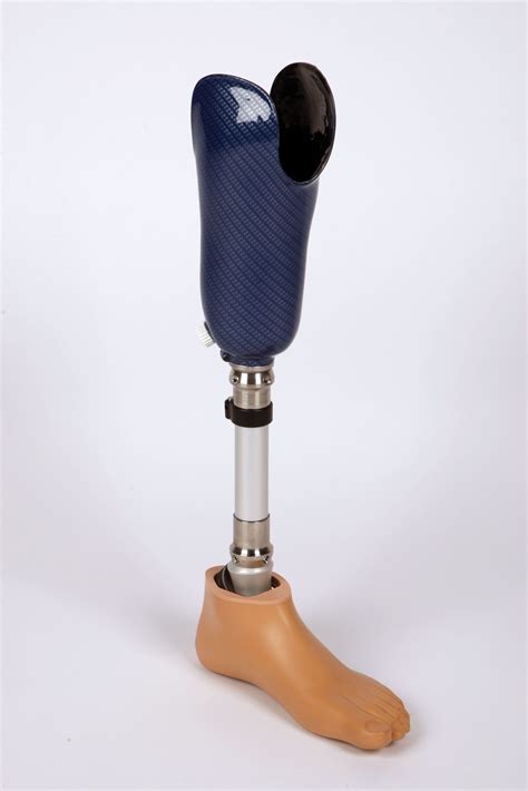 Leg Prosthesis Types