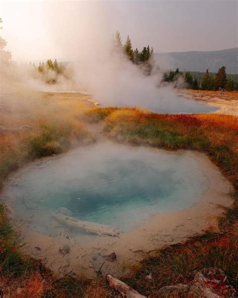 Yellowstone Lodges On Instagram “its Called Wonderland For A Reason