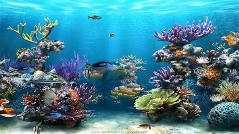🔥 48 Animated Underwater Wallpaper Wallpapersafari