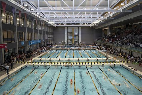 Members Of Iowa Swimming And Diving Programs Reflect On ‘heartbreaking