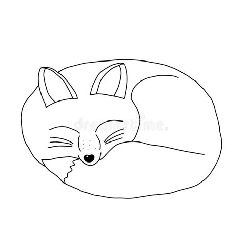 Sleeping Fox Black White Stock Illustrations 168 Sleeping Fox Black