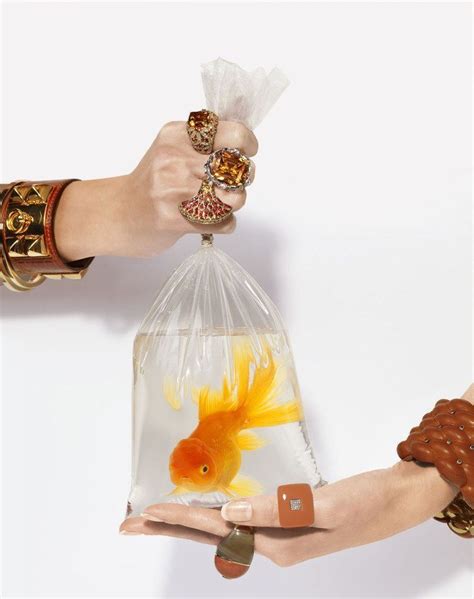 The Real Jewel Is The Goldfish In 2019 Fashion Still