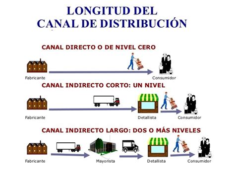 Canales De Distribuci N Ejemplos Reales