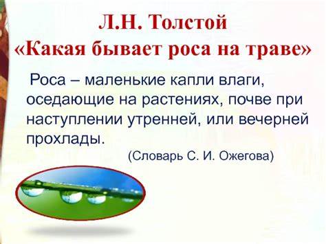 Клетчатка при диетах