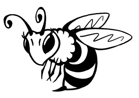 Beautiful Honey Bee Coloring Pages | Coloring Sky