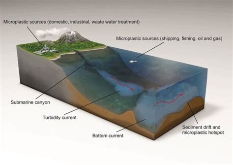 Highest Levels Of Microplastic Ever Recorded On The Seafloor