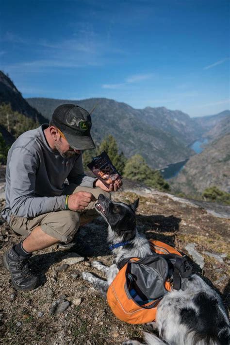 Oct 07, 2019 · 2. 13 Tips for Backpacking with a Dog | Hiking dogs, Diy dog backpack