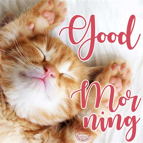 Good Morning Card With A Cute Cat Download On