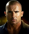 Dominic Purcell – Movies, Bio and Lists on MUBI