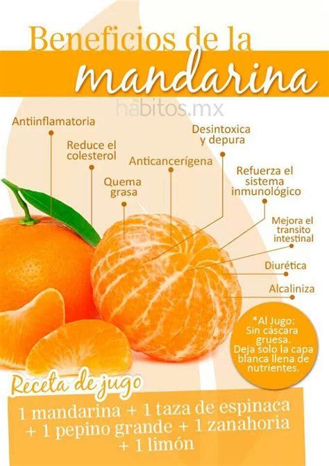 Propiedades De La Mandarina