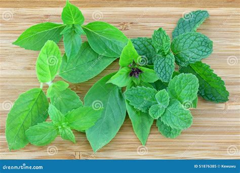 Basil And Mint Leaves On A Wooden Background Stock Image Image Of