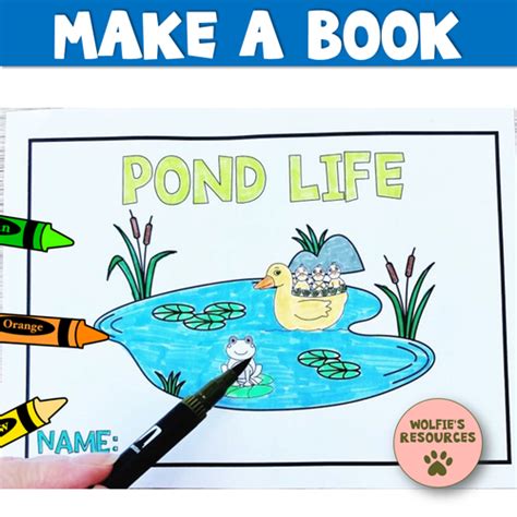 Pond Life Activities Ks1 Teaching Resources