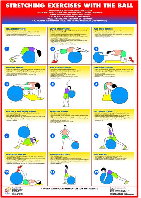 Gym Ball Exercise Ball Inflatable Ball Swiss Ball Exercises Fitness