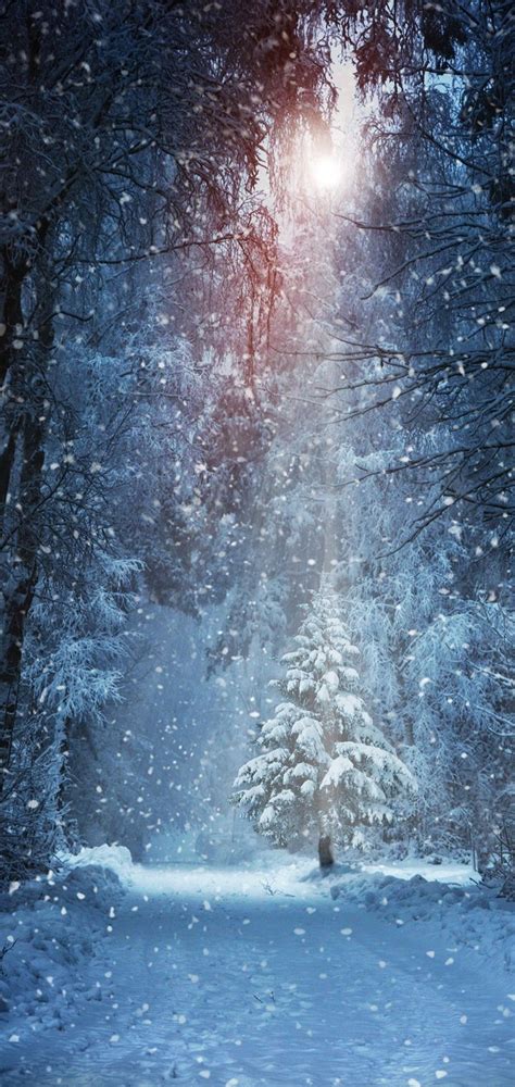 Winter Snow Nature Landscape Wallpaper 720x1520