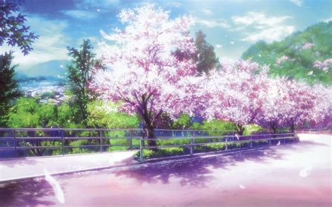 Background Pohon Sakura Anime Anime Landscape Scenic Sakura Blossom