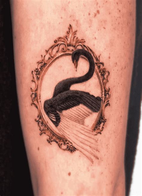 Swan Tattoo Design Images Swan Ink Design Ideas Piercing Tattoo