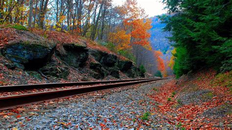Autumn And Railroad Tracks Wallpapers Wallpaper Cave
