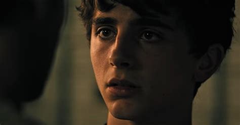 The Hot Summer Night S Trailer Features Timothee Chalamet And It Looks Wild