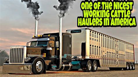 How To Be A Cattle Hauler Lesage Trucking Gives Us A Inside Tour Of