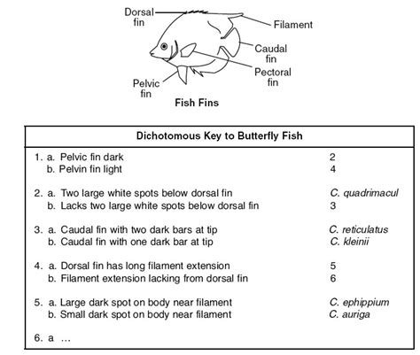 List Of Name That Fish Answer Key Ideas