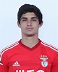 Gonçalo Guedes - Portugal - Fiches joueurs - Football