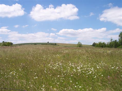 File:Prairie en Meurthe-et-Moselle.JPG - Wikimedia Commons