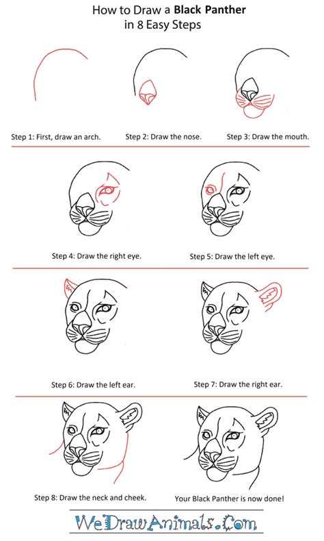 Https://tommynaija.com/draw/how To Draw A Black Panther Face Step By Step