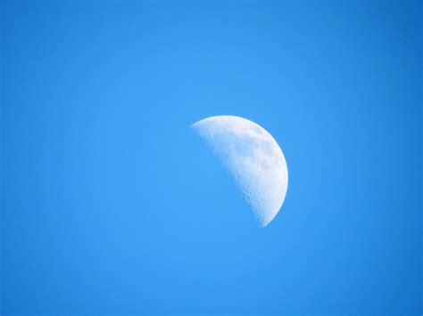 Half Moon In Daylight Free Stock Photo Public Domain Pictures