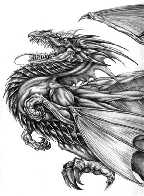 Cool drawings of dragons ideas about dragon on jpg. 10+ Cool Dragon Drawings for Inspiration - Hative