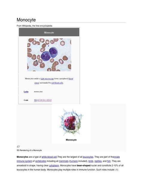 Monocytes Wikipedia Monocyte Immunology