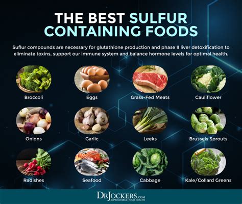 The 12 Best Food Sources Of Sulfur