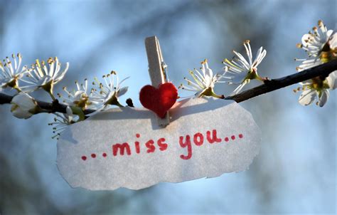 40 Free Missing You And Miss You Images Pixabay